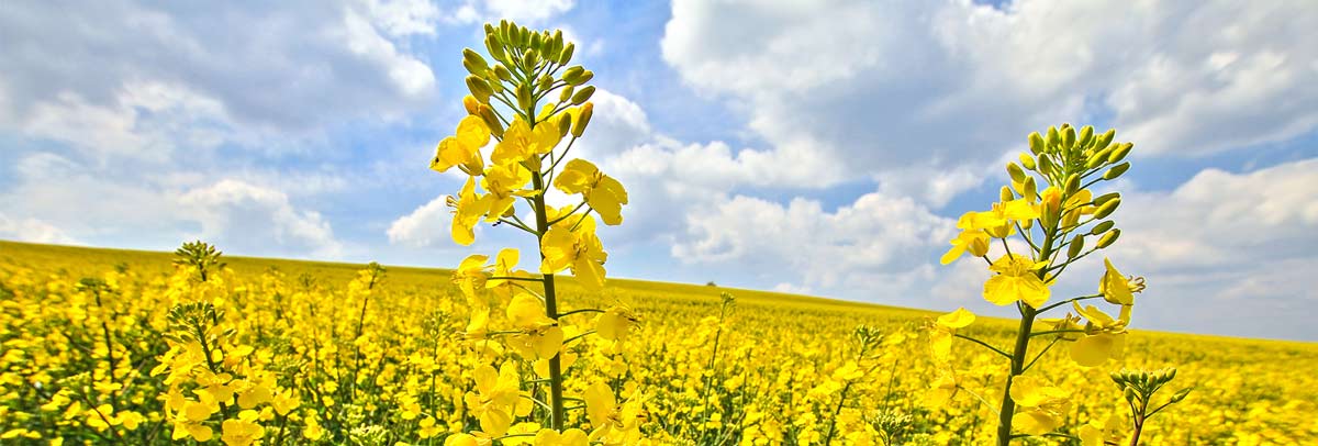 erlebnis-uckermark_web